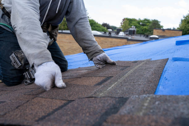 Best Commercial Roofing Services  in Kirkland, IL